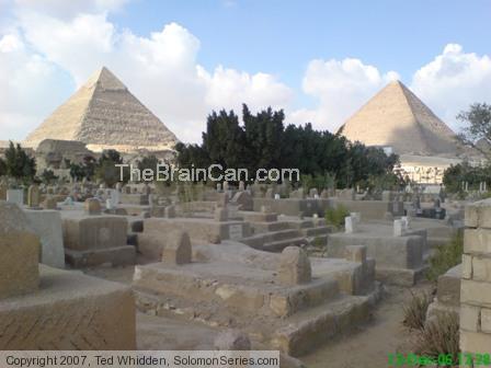 Cemetery in the old pond bottom adjacent to Giza pyramids.  Showing trees down low in the bottom of an old pond, yet above current water table.  The 