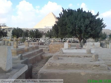 Large trees in the above ground cemetery at the foot (southern side) of the pyramid plateau.  Pyramid in site.  This area has a lower water table toda