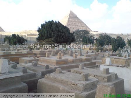 More large trees and above ground graves at/near the feet of the Great Pyramid of Kafre/Khufu atop Giza Egypt Plateau.  There are more images to come.