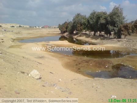 Saturated sands near Giza (south/southeast side).  2006 with full time standing water.  www.SolomonSeries.com 